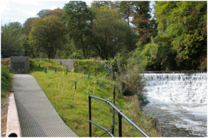 Fish pass at Quarry Bank Mill