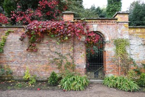 Hare Hill Gardens, Prestbury, Cheshire ⓒ G Sellars 2015