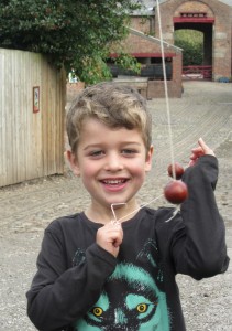 conker championship tatton park