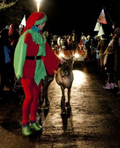 Prancer and Dancer at Lantern Parade1