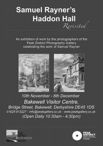 Rayner exhibition poster