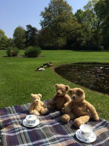 Teddy bears enjoy the sun at Dunham Massey ©National Trust Images / Alice Rushworth