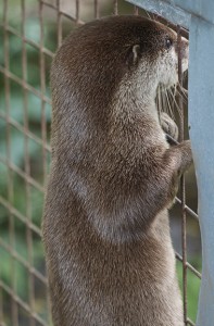 I can smell my lunch, but where is it?