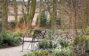 Enjoy a winter’s walk in the garden at Dunham Massey © National Trust/Jonathan Buckley