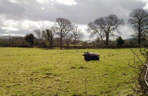 Some fields in Macclesfield