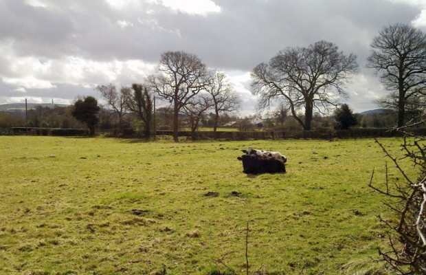 Some fields in Macclesfield